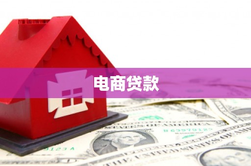 大村电商贷款