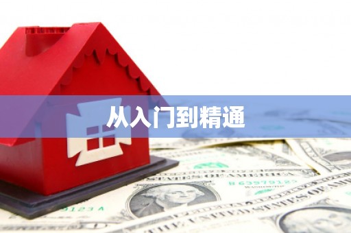 大村从入门到精通