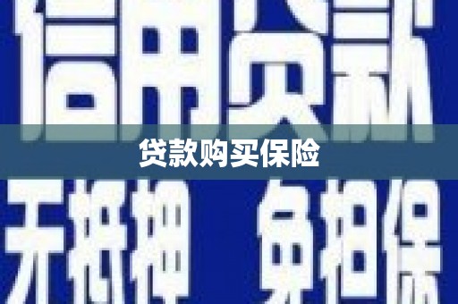 大村贷款购买保险