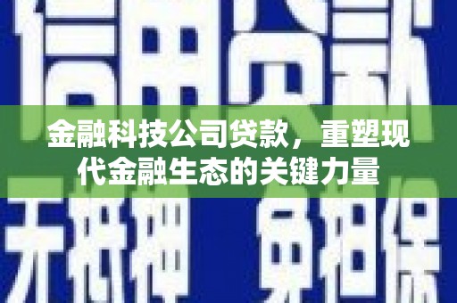 大村金融科技公司贷款，重塑现代金融生态的关键力量
