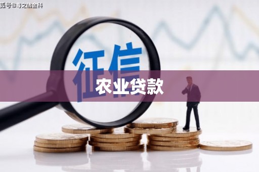 大村农业贷款