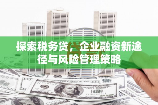 大村探索税务贷，企业融资新途径与风险管理策略
