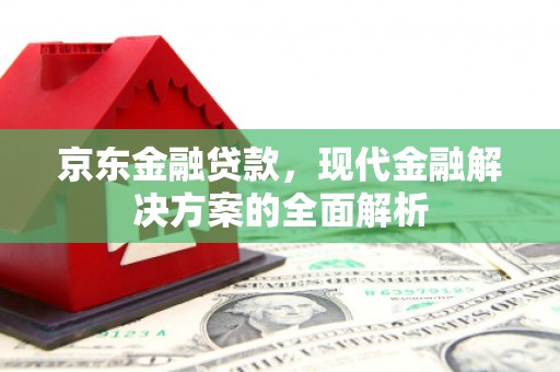 大村京东金融贷款，现代金融解决方案的全面解析