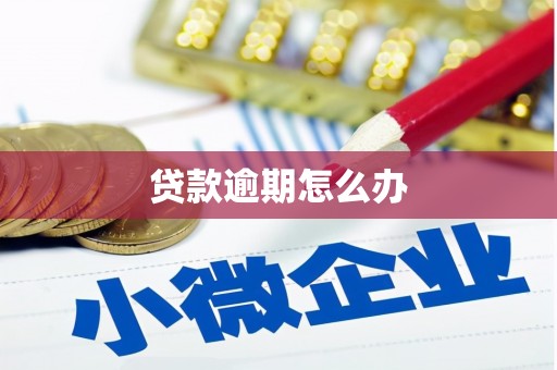 大村贷款逾期怎么办