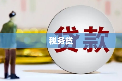 大村税务贷