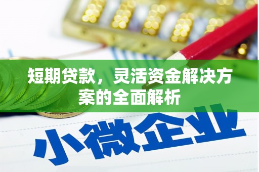 大村短期贷款，灵活资金解决方案的全面解析