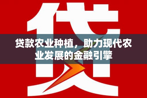 大村贷款农业种植，助力现代农业发展的金融引擎