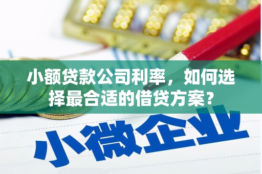 大村小额贷款公司利率，如何选择最合适的借贷方案？