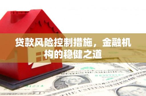 大村贷款风险控制措施，金融机构的稳健之道