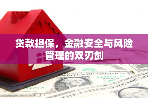 大村贷款担保，金融安全与风险管理的双刃剑