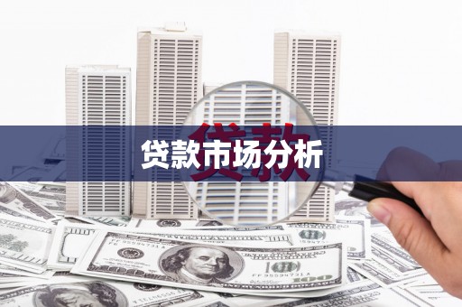 大村贷款市场分析