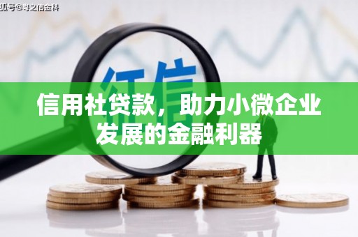 大村信用社贷款，助力小微企业发展的金融利器