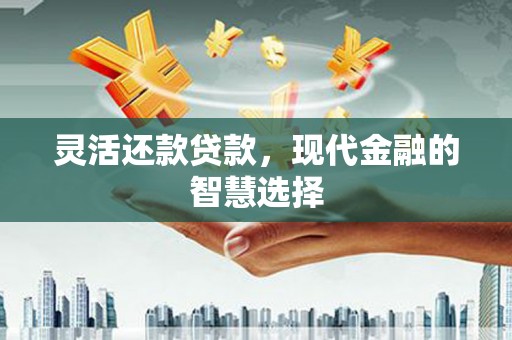 大村灵活还款贷款，现代金融的智慧选择