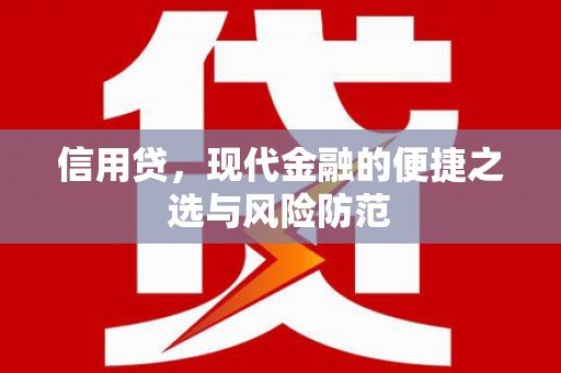 大村信用贷，现代金融的便捷之选与风险防范