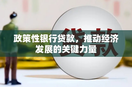 大村政策性银行贷款，推动经济发展的关键力量