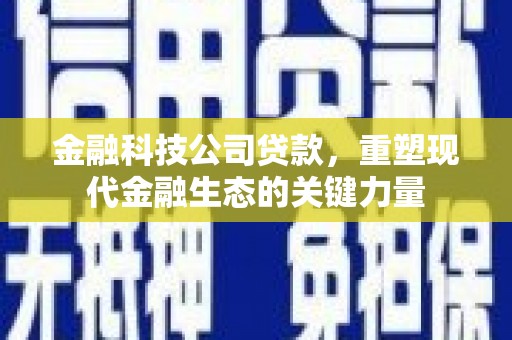 大村金融科技公司贷款，重塑现代金融生态的关键力量