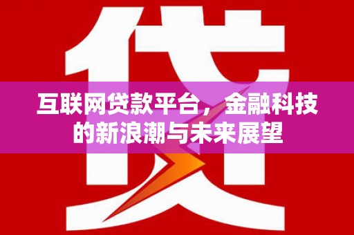 大村互联网贷款平台，金融科技的新浪潮与未来展望