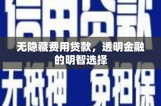 大村无隐藏费用贷款，透明金融的明智选择