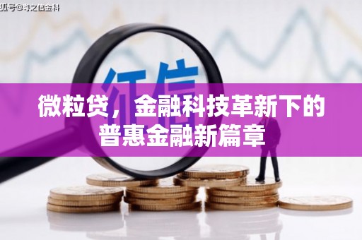 大村微粒贷，金融科技革新下的普惠金融新篇章