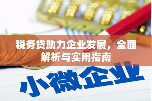 大村税务贷助力企业发展，全面解析与实用指南