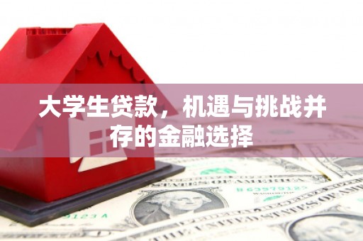 大村大学生贷款，机遇与挑战并存的金融选择