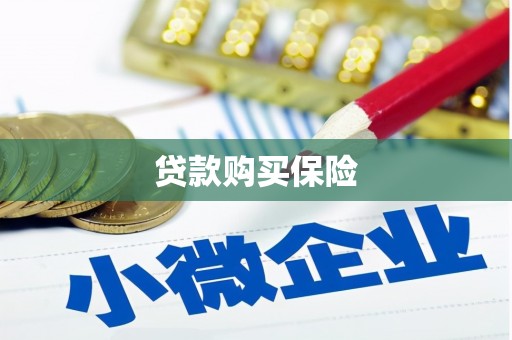 大村贷款购买保险