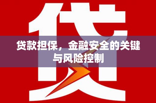 大村贷款担保，金融安全的关键与风险控制
