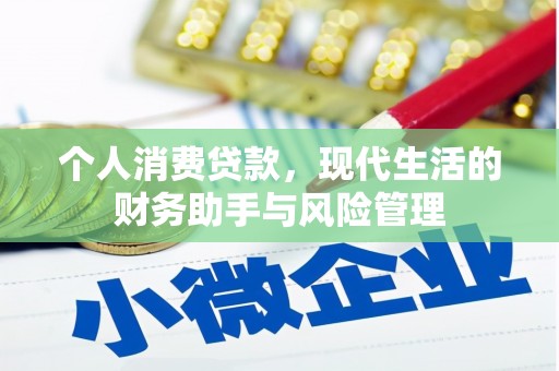 大村个人消费贷款，现代生活的财务助手与风险管理