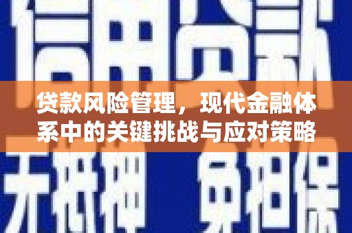 大村贷款风险管理，现代金融体系中的关键挑战与应对策略