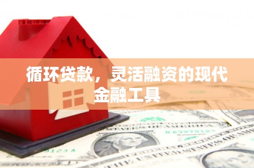 大村循环贷款，灵活融资的现代金融工具