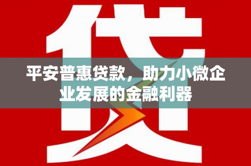 大村平安普惠贷款，助力小微企业发展的金融利器