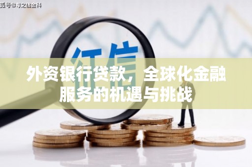 大村外资银行贷款，全球化金融服务的机遇与挑战