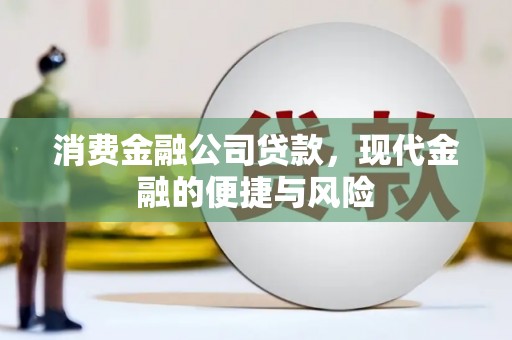 大村消费金融公司贷款，现代金融的便捷与风险