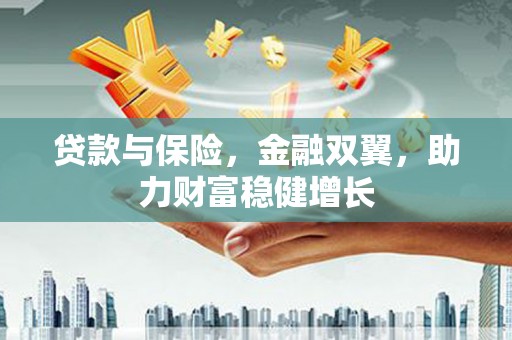 大村贷款与保险，金融双翼，助力财富稳健增长