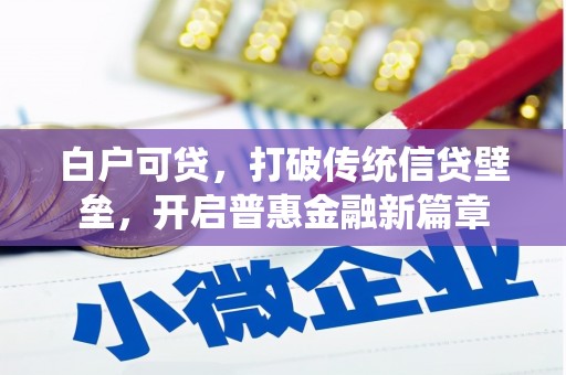 大村白户可贷，打破传统信贷壁垒，开启普惠金融新篇章