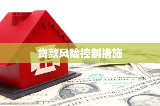 大村贷款风险控制措施