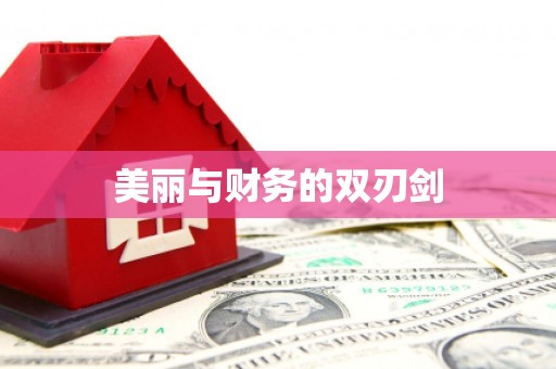 大村美丽与财务的双刃剑