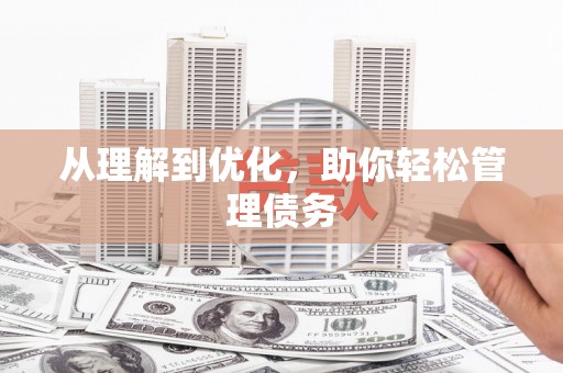 大村从理解到优化，助你轻松管理债务