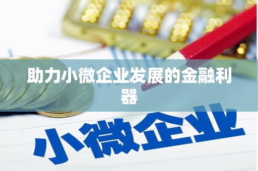大村助力小微企业发展的金融利器