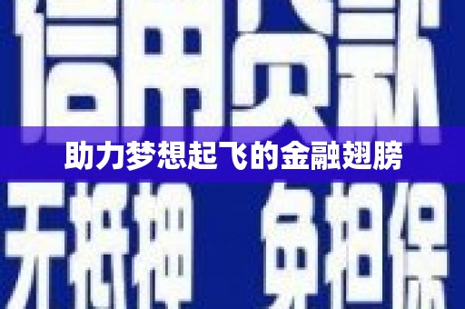 大村助力梦想起飞的金融翅膀