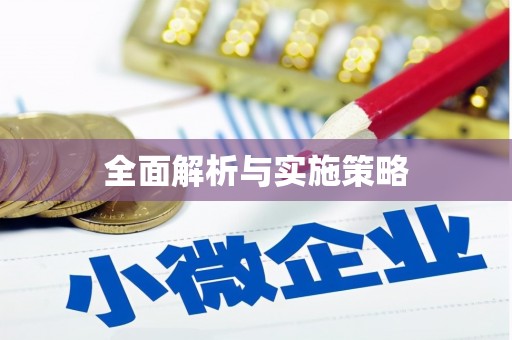 大村全面解析与实施策略
