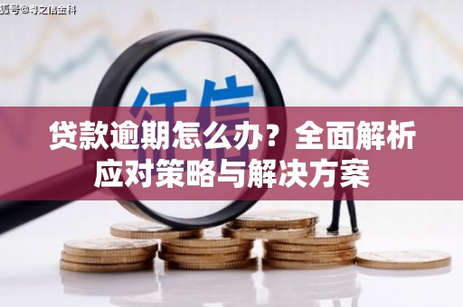 大村贷款逾期怎么办？全面解析应对策略与解决方案