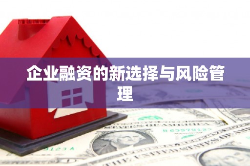 大村企业融资的新选择与风险管理