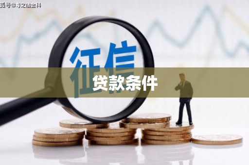 大村贷款条件
