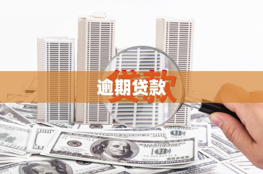 大村逾期贷款