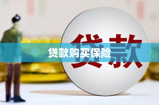 大村贷款购买保险