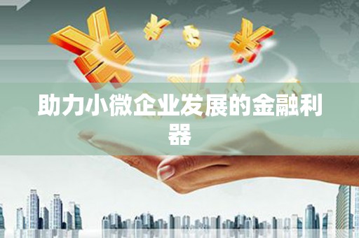 大村助力小微企业发展的金融利器