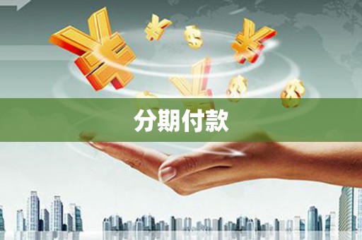 大村分期付款