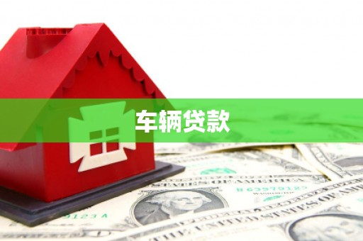 大村车辆贷款