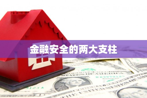 大村金融安全的两大支柱
